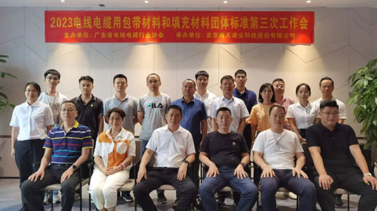 倚天云母承辦2項團體標準修訂工作會(huì )于東莞順利舉行